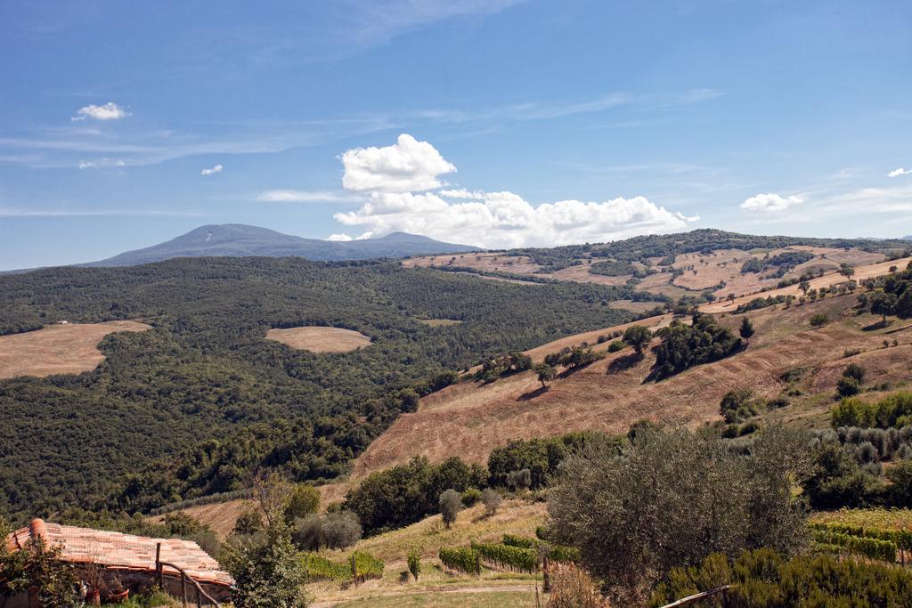 Podere Casella Villa Castiglione dʼOrcia Exterior foto
